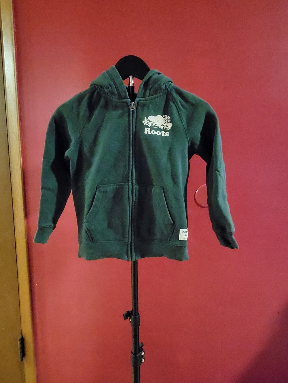 Roots Kids Green Hoodie